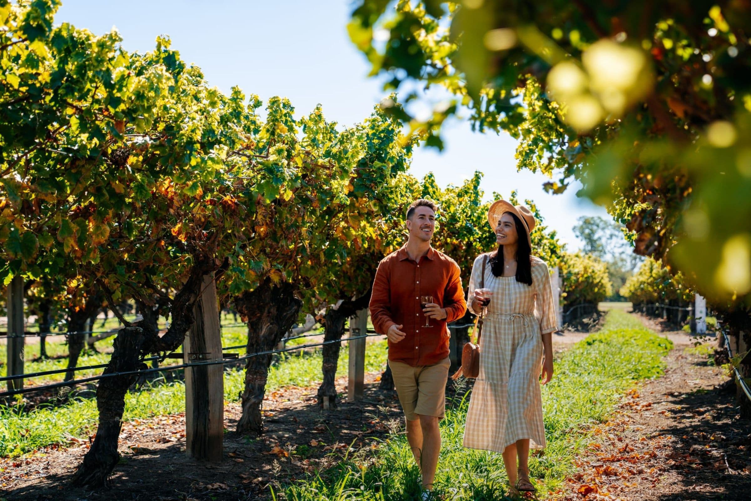 Rivesands Vineyard